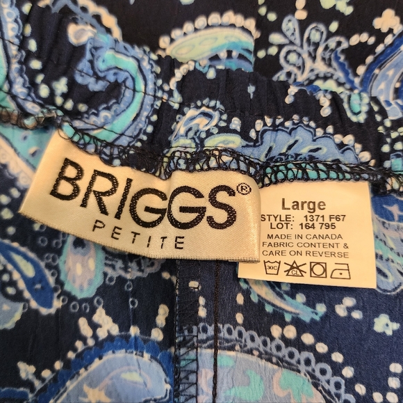 Vintage Briggs Petite Blue Paisley Teachers Skirt - Picture 12 of 12